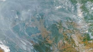 Amazonasgebiet: Schwere Brände im brasilianischen Regenwald