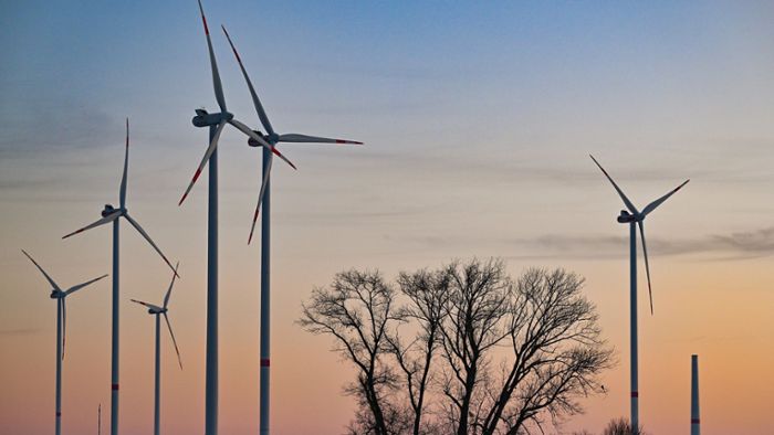 Frankenwald-Windpark hat für Söder Top-Priorität