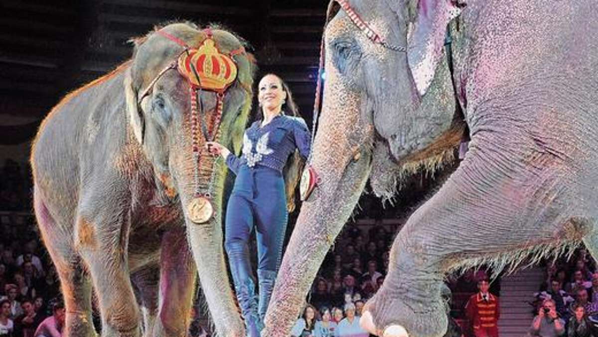 Coburg: Circus Krone gastiert auf dem Ketschenanger