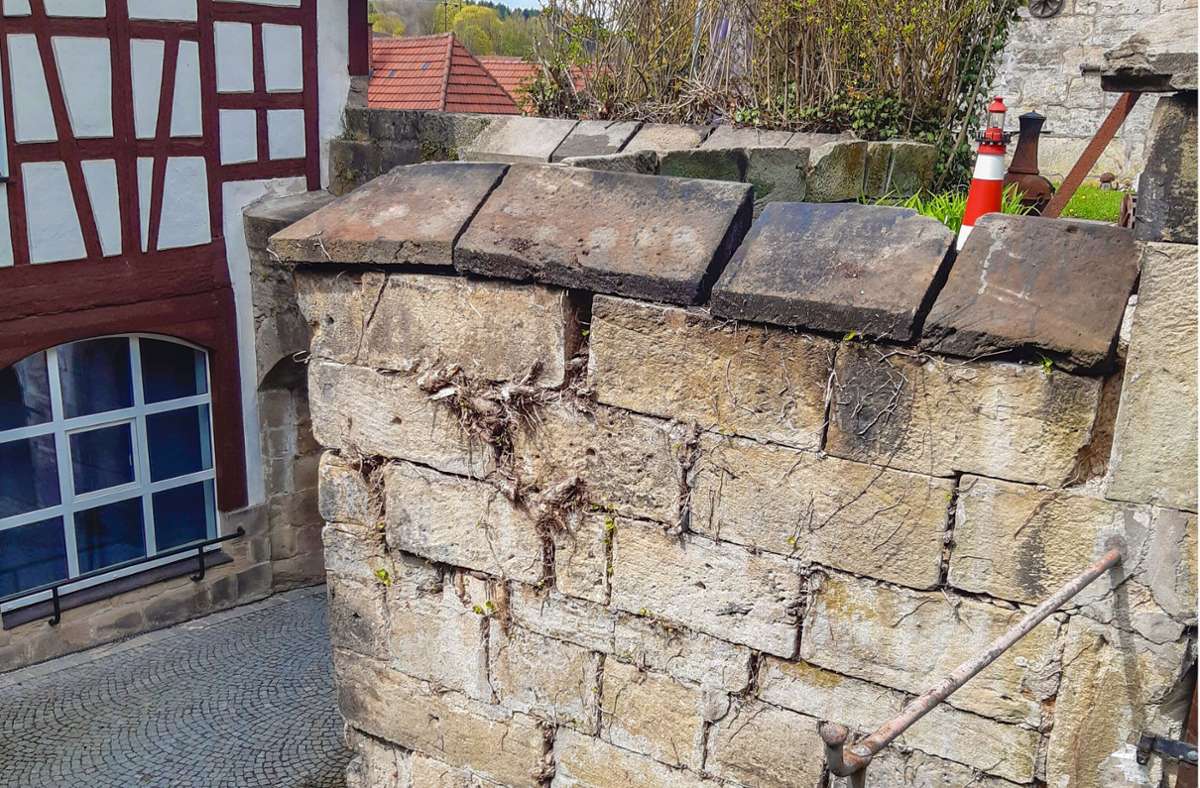 Wie hier am Mauerwerk „Am Pförtchen“ ist an der Stadtmauer Kronach an vielen Stellen dringender Handlungsbedarf, um das Denkmal zu erhalten. Foto:  