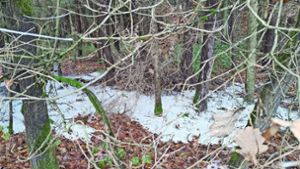 Lichtenfels: Weißer Schlamm im Wald: Verursacher gefunden