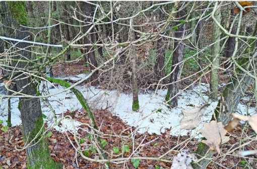 Man hätte es für Schnee halten können: Kalk- oder Bohrschlamm illegal im Wald entsorgt. Foto: privat/privat