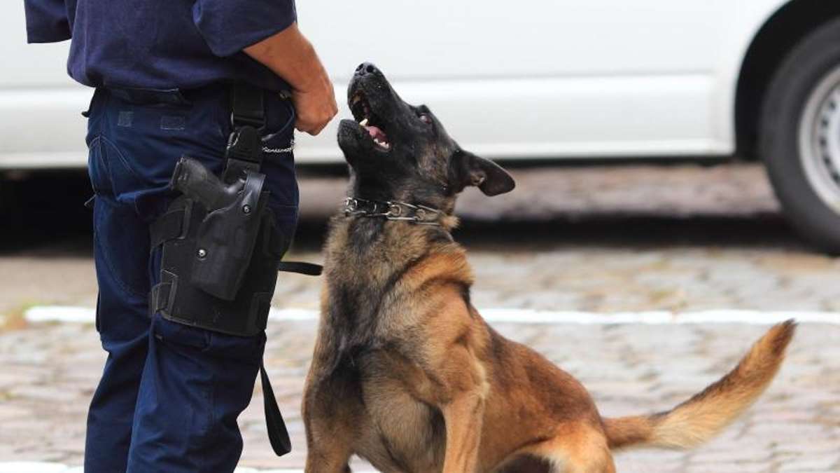 Kronach: Weißenbrunn: Polizeihund überwältigt Messer-Angreifer