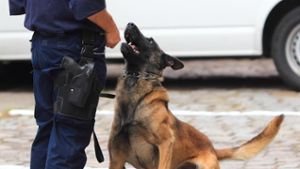 Weißenbrunn: Polizeihund überwältigt Messer-Angreifer