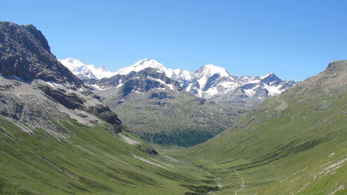 Klimawandel in den Alpen: Die Alpen ergrünen im Klimawandel
