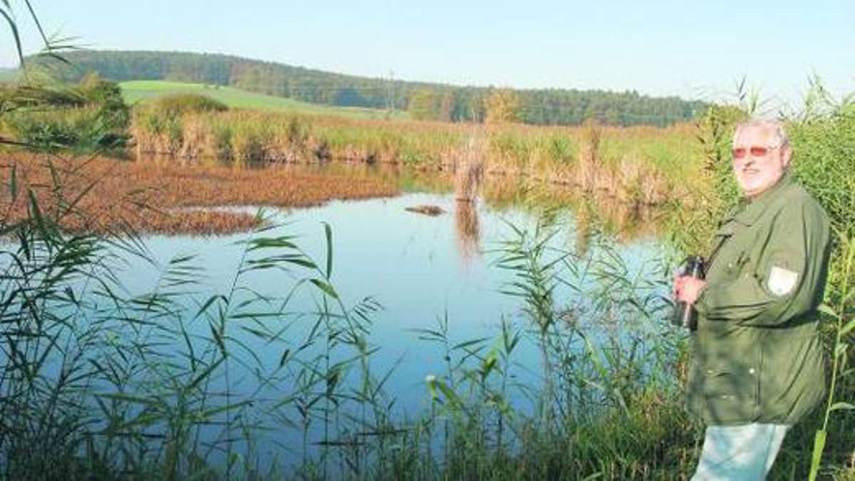 Coburg: Biotop verliert seine Seefläche