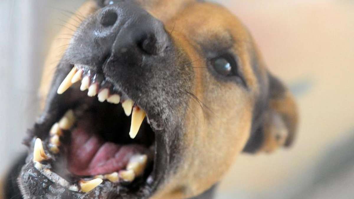 Coburg: Hund beißt Paketzusteller in den Oberschenkel