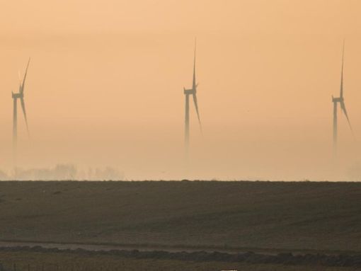 An der Nordseeküste bei Harlesiel stehen drei Windkrafträder im Morgennebel. Foto: Mohssen Assanimoghaddam