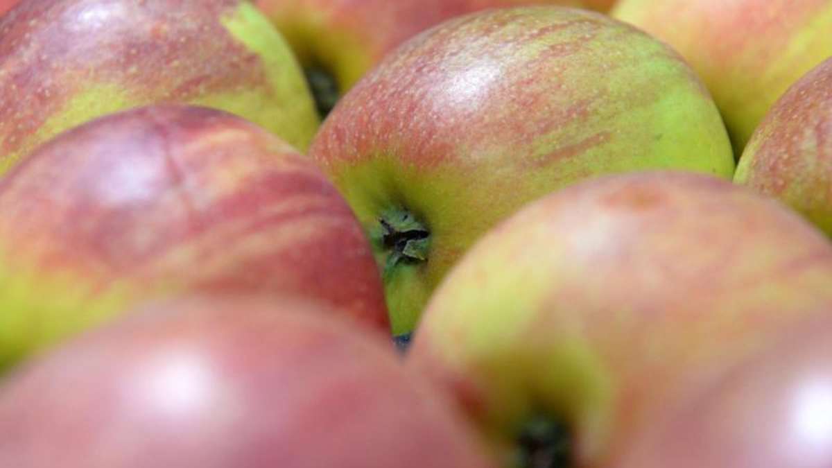 Coburg: Obstdiebe klauen zentnerweise Äpfel