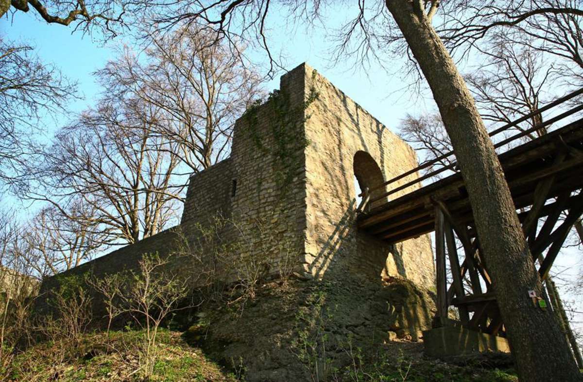 Die Ruine Diepoldsburg, eine frühere Doppelburg, besteht aus  der Oberen und   Unteren Diepoldsburg, auch Burg Rauber genannt. Foto: Dieter/Buck