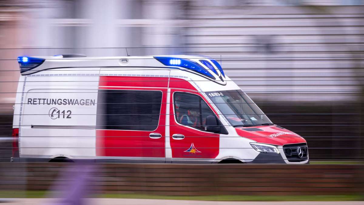 Ingolstadt: Seil in Waldseilgarten durchgeschnitten: Trainerin verletzt