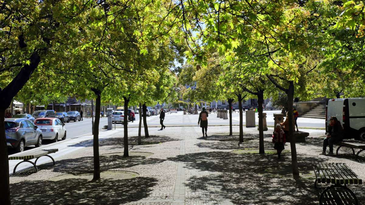 Stadtratsantrag in Coburg: Mehr Grün, aber wo?