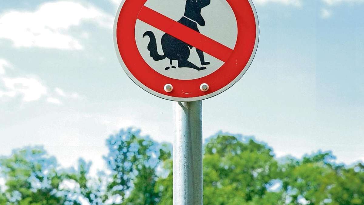 Ahorn: Hundehaufen erzürnen Ahorner Bürgermeister
