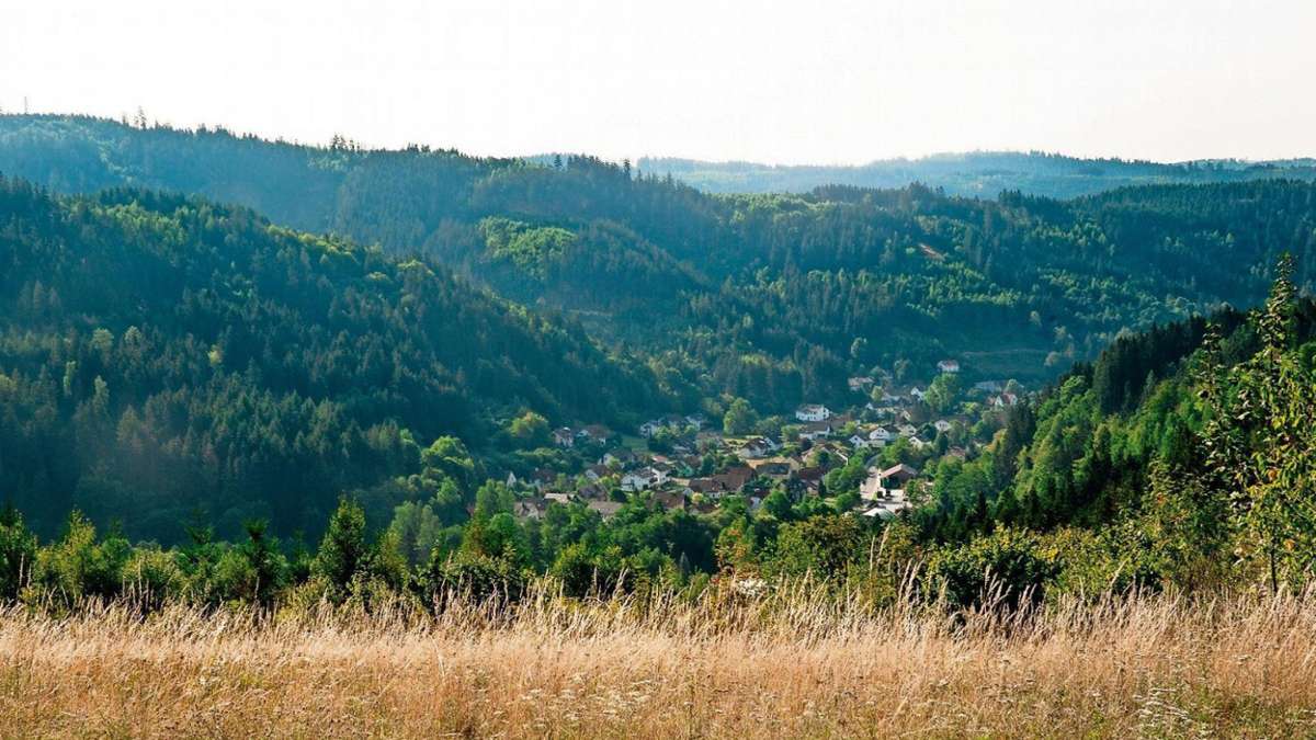 Kronach/Steinwiesen: Grüne kritisieren Pläne für Feriendorf