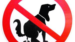 Ein großes Problem: Kampagne gegen den Hundekot