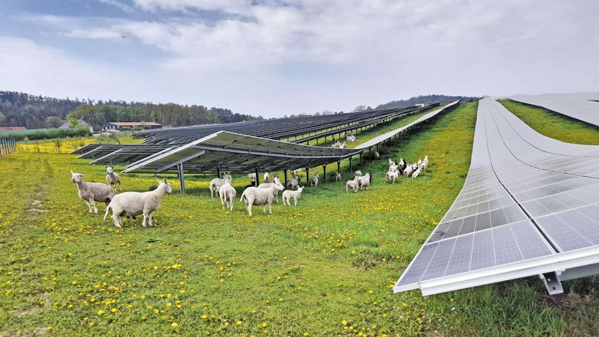 Optimierung Solarpark Birkig II: Neustadt setzt verstärkt auf erneuerbare Energien