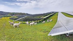 Neustadt setzt verstärkt auf erneuerbare Energien 