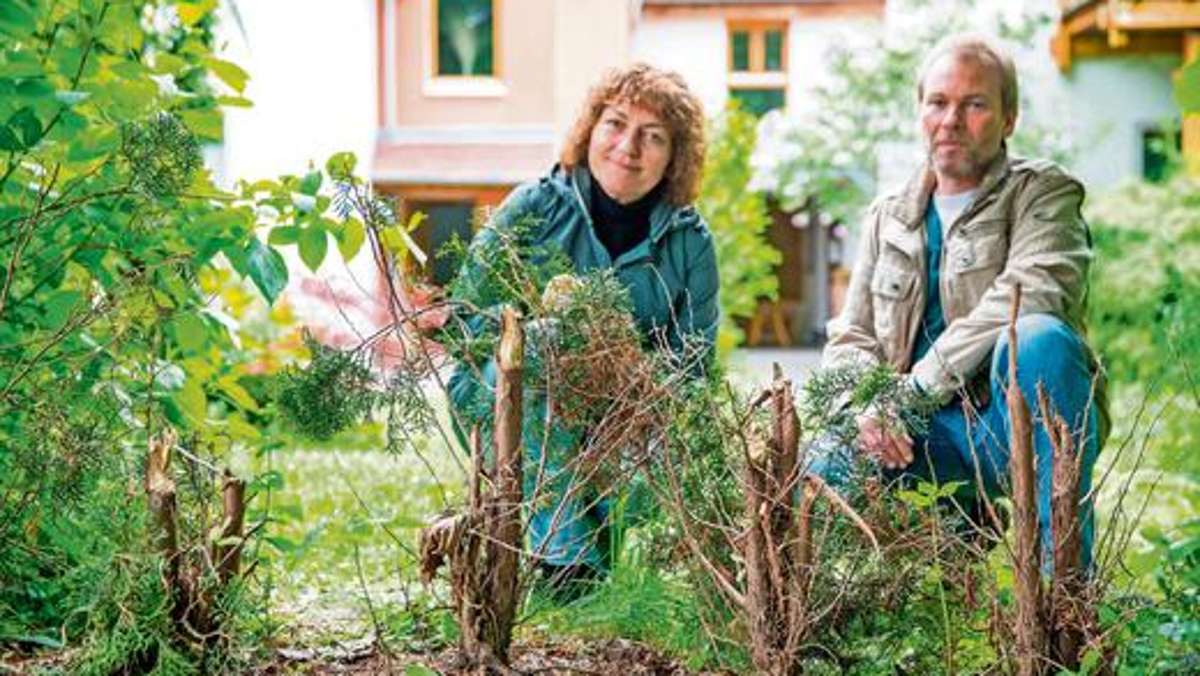 Coburg: Biber zerstört idyllischen Garten in Cortendorf