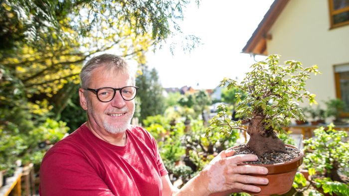 Gartenkunst: Wo in Birkach die Bonsai blühen