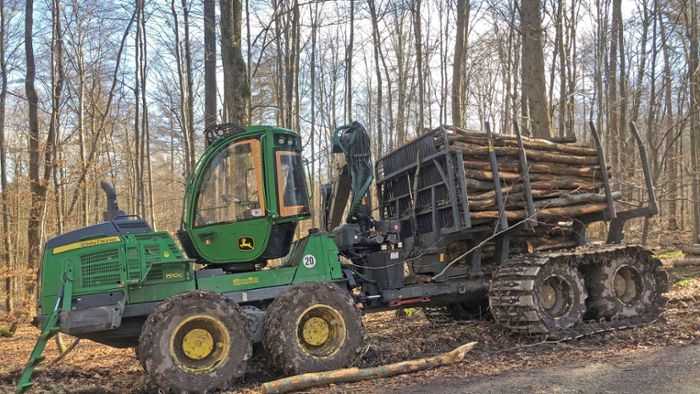 Gelagertes Holz in den Wäldern: Kriminelle haben das Nachsehen