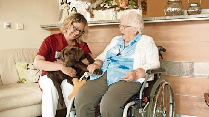 Im Seniorenheim: Tierische Ablenkung tut gut