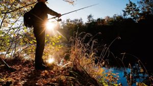 Tot im Main: Angler entdeckt vermissten 21-Jährigen