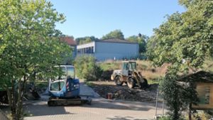 Eberner Realschule  kämpft für ihre  Außenanlagen
