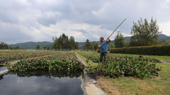 Unternehmen aus Winnenden: Kärcher setzt sich für sauberes Wasser in Südamerika ein