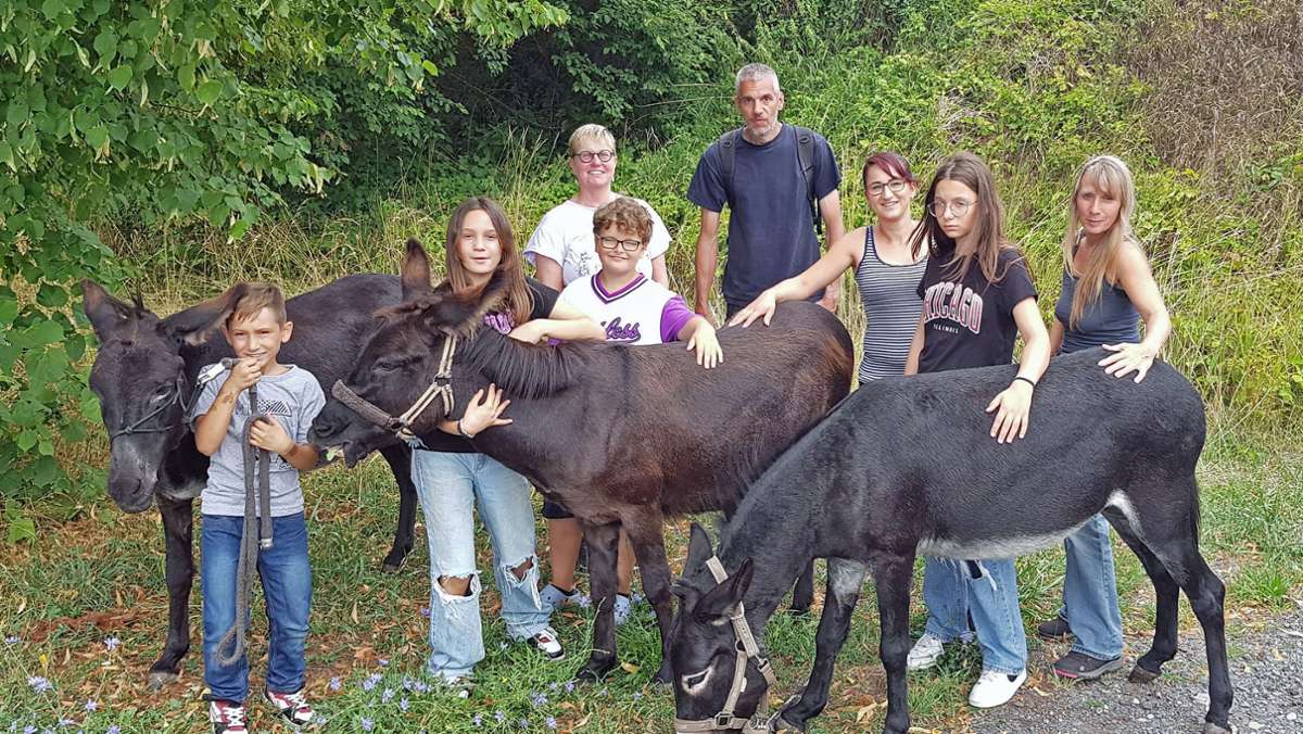 Zwischenstopp: Ebern: Esel auf Deutschland-Tour