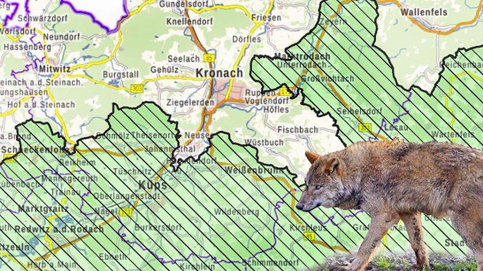 Kronach: Wenig Unterstützung für Schutz vor Wölfen