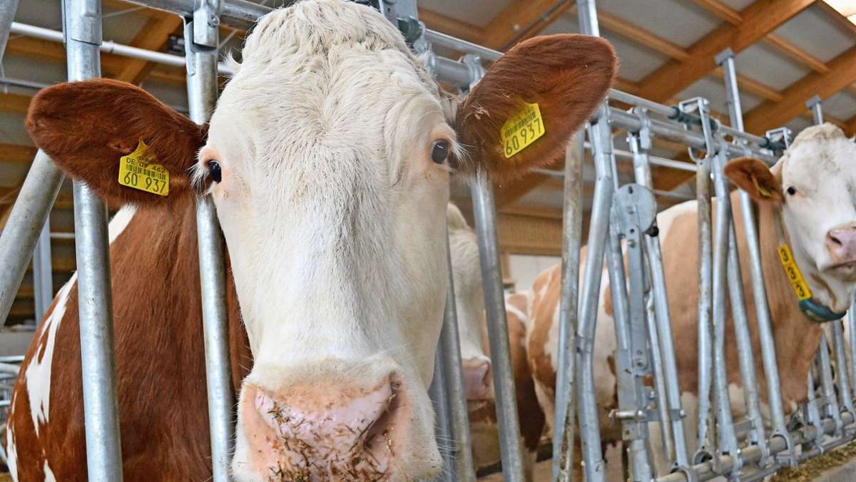 Landkreis Kronach: Weniger Kühe, mehr Kosten