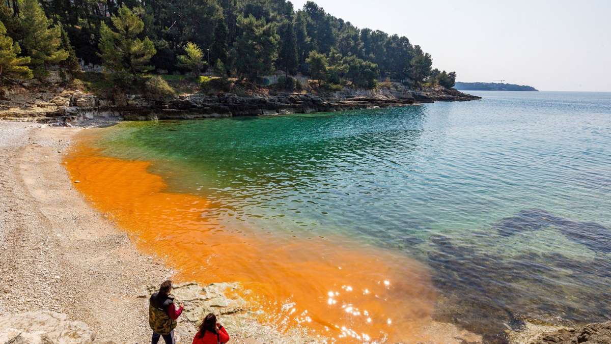 Naturereignis an der Adria: Meer in Kroatien rot gefärbt – das steckt hinter dem Phänomen