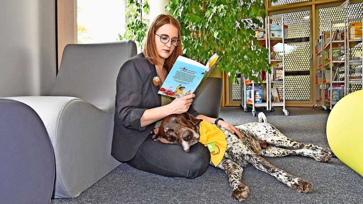 Bücherei des Jahres: In Haßfurt hilft ein „Lesehund“