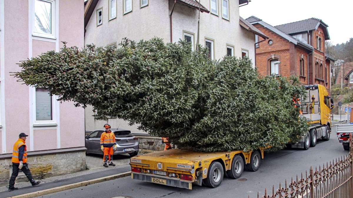 Neustadt: Der Weihnachtsbaum ist da