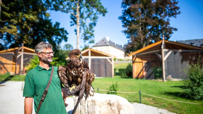 Wildpark Tambach: Die Adler sollen  wieder fliegen