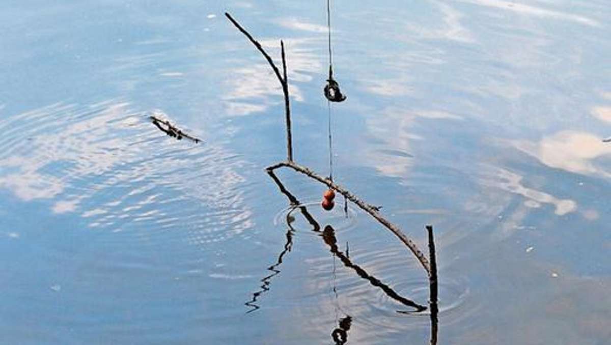 Lichtenfels: Angelplatz verlassen: Fisch verendet am Haken im Gestrüpp