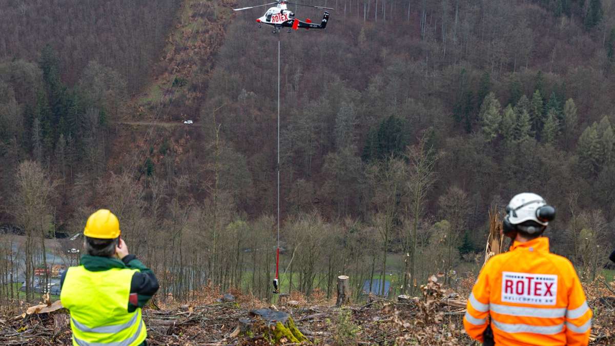 Forstwirtschaft: Hubschrauber holt Hunderte Tonnen totes Buchenholz von Hang