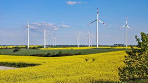 Podiumsdiskussion in Mitwitz: Windkraft und Naturschutz im Fokus