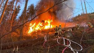 500.000 Euro Schaden: Holzerntemaschine explodiert und ausgebrannt