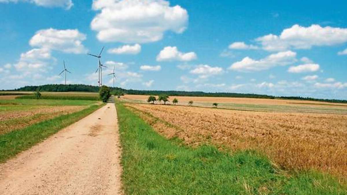 Coburg: Windpark-Betreiber startet Rodungsarbeiten