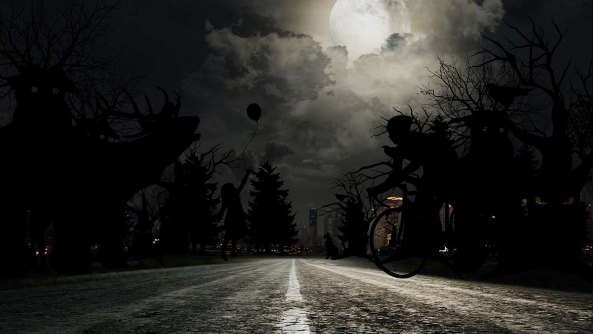 Länderspiegel: Ohne Licht in der Nacht: Pilger fährt mit Rad auf der Autobahn