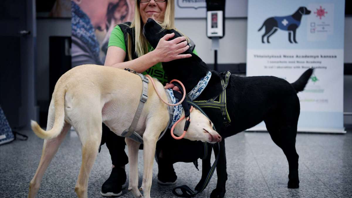 Coronapandemie in Europa: Tschechische Spürhunde sollen Coronainfizierte identifizieren
