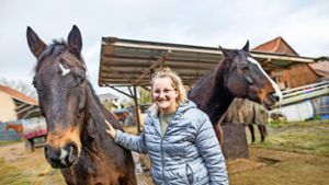 Tierschutz Coburg: Pferdegnadenhof im Itzgrund sucht Helfer