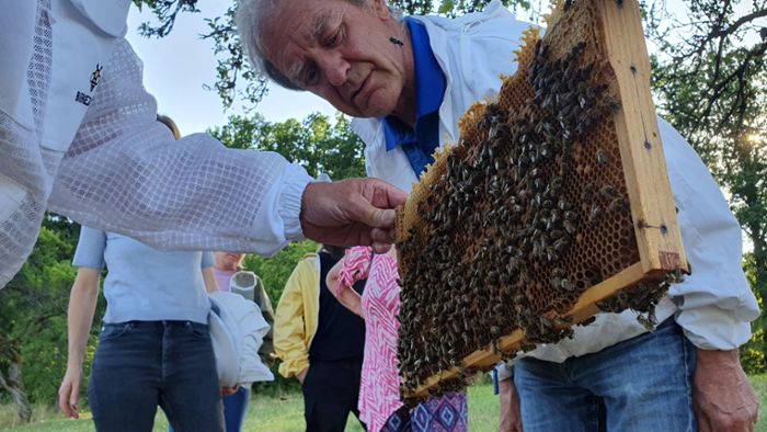 So geht Bienenleasing in Bad Rodach