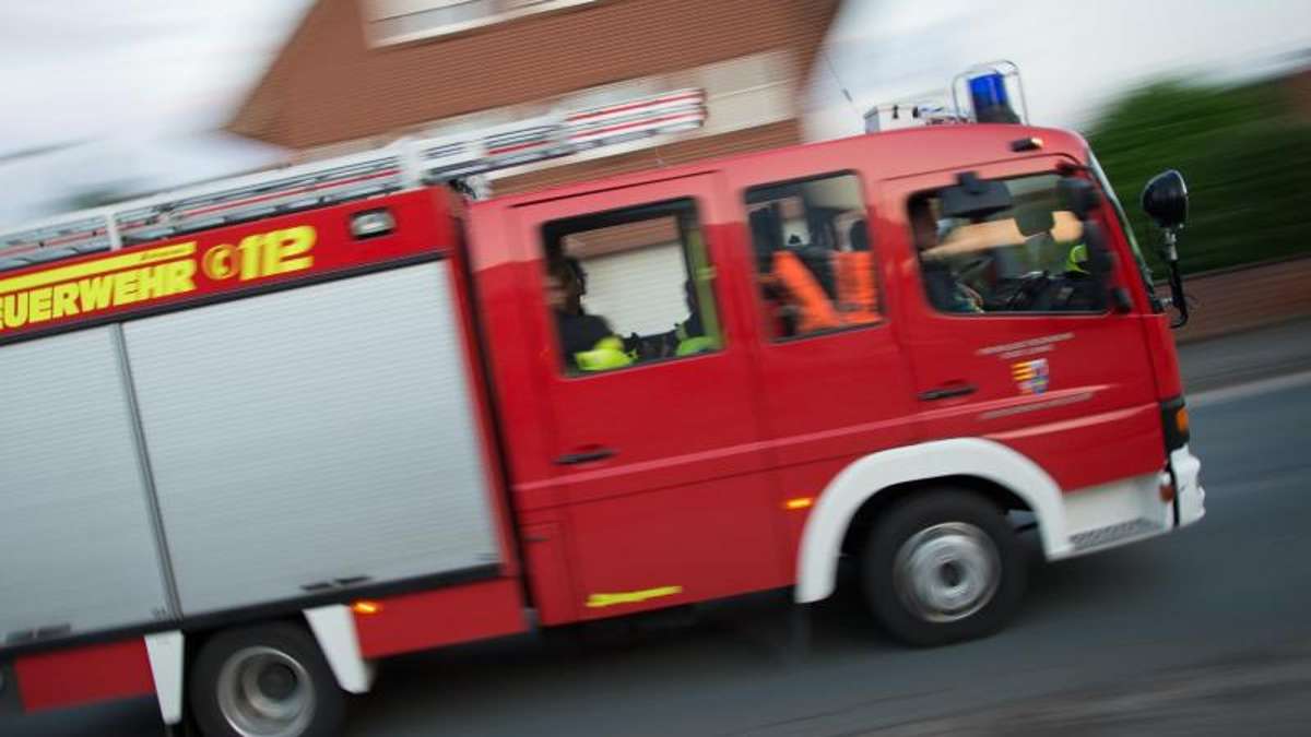 Teuschnitz: Unterirdischer Brand im Wald bei Wickendorf