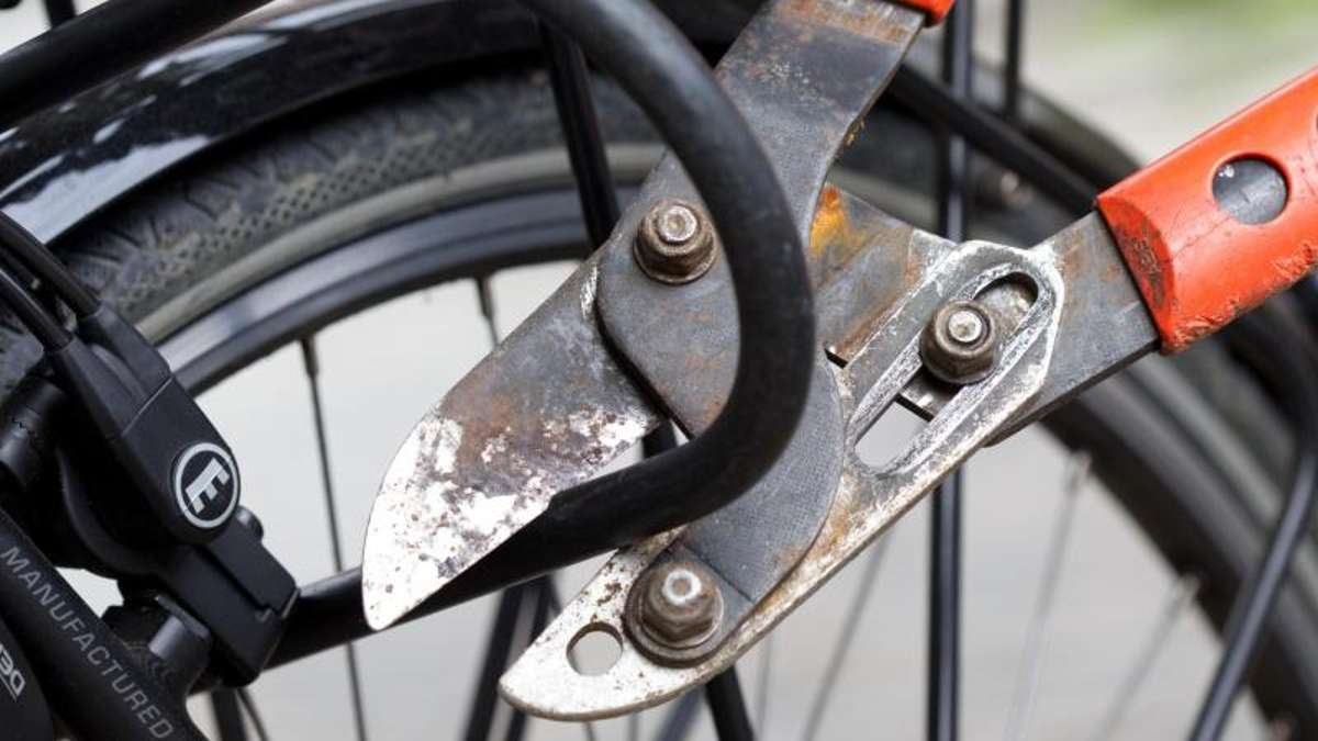 Neustadt: Diebe stehlen teure Fahrräder