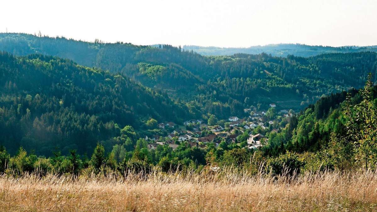 Steinwiesen: BN kündigt Aktionen gegen Feriendorf an