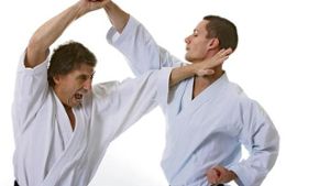 Karate in Perfektion