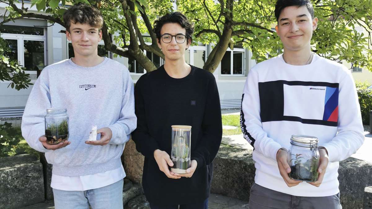 Schülerunternehmen: Pflanzen im Einmachglas