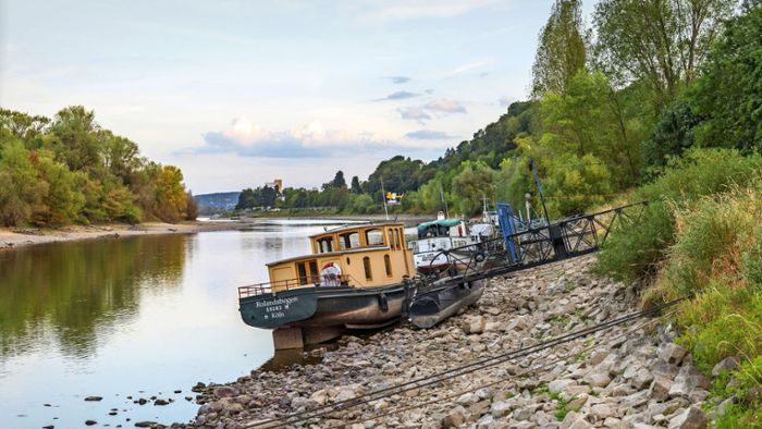 Niedrigwasser: Pegel null am Rhein,  Flüsse trocknen aus  – so dramatisch ist die Lage